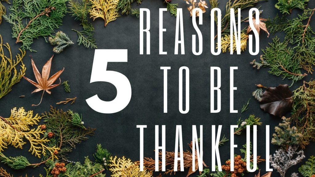 5 Reasons to be Thankful