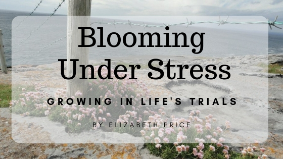 Blooming Under Stress
Growing in LIfe's Trails